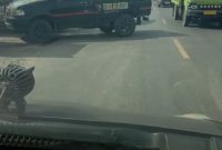 Antrian Semrawut Di duga Mobil Pelangsir di SPBU KM 18 Sampit, Menggangu Dan Bahayakan Pengguna Jalan
