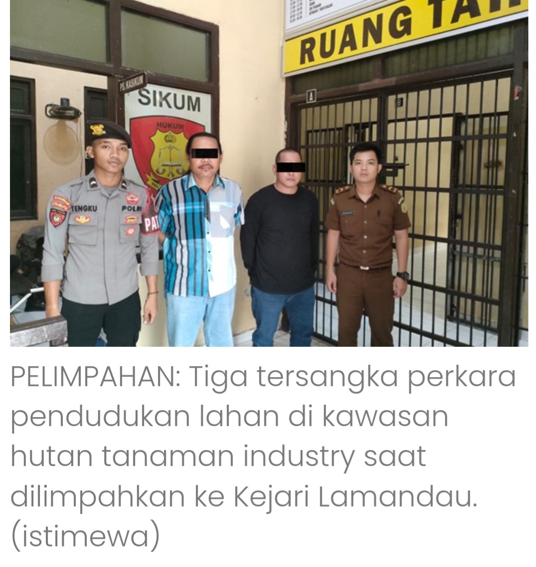 Gagal Investasi, Mendekam di Balik Jeruji Gara-gara Buka Kebun Sawit di Kawasan Hutan