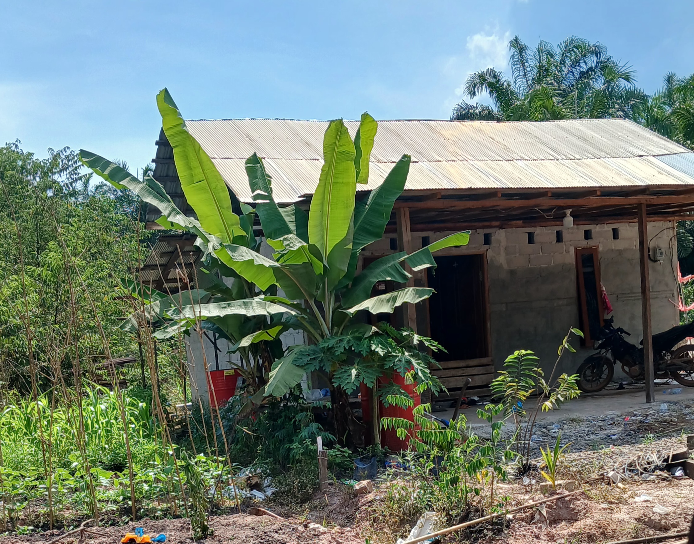 Bobol Rumah ,Pencuri Gasak Hp dan Uang Chas Saat Korban Tertidur