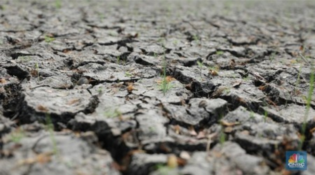La Nina Masih Potensi, BMKG Beri Peringatan Siaga I Petaka Kekeringan