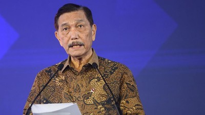 Luhut Beri Sinyal Sebagian Fungsi Bea Cukai Bakal Diambil Alih DSI