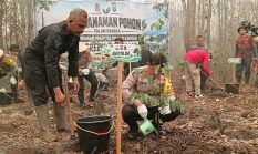 Lahan Bekas Terbakar, Polda Kalteng Tanam 500 Bibit Pohon Belangiran