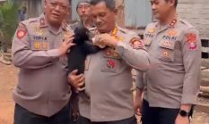 Baharkam Polri Evakuasi Anak Beruang Madu Akibat Terdampak Karhutla di Kalteng