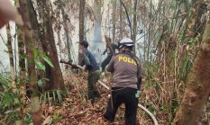 Tim Gabungan Terus Gempur Api yang Membakar Taman Tanjung Puting