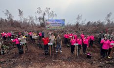 Kapolda Kalteng Bersama Bhayangkari Tanam 1000 Pohon Belangiran, Wujudkan Green Policing Lahan Bekas Karhutla